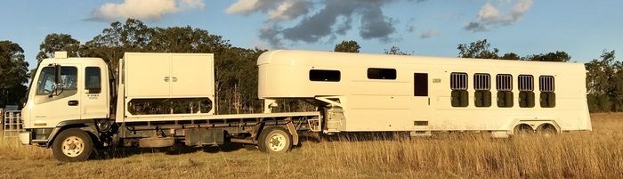 Bueno 5 Horse Gooseneck Isuzu truck for sale Kingaroy Qld