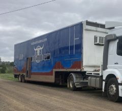 8 Horse Gooseneck for sale Glamorgan Vale Qld