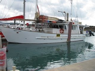 John Pugh in Survey for Pro Fishing and Carter Boat for sale QLD Bundaberg