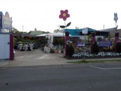 Nursery &amp; Garden Centre Business for sale Qld Toowoomba