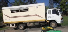 1987 Isuzu 6 Horse Truck Horse transport for sale NSW Macksville