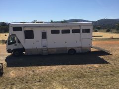 Isuzu FRR 500 4 Horse truck Horse Transport for sale Qld Samford