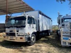 Nissan PK245 9 Horse Truck for sale Strathmerton Vic