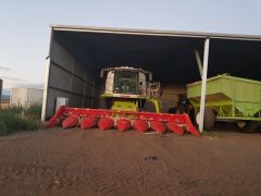 Capello Corn front 7760 Cotton Picker farm machinery for sale NSW Carroll