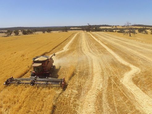 2009 Case 6088 Header for sale Narrogin WA