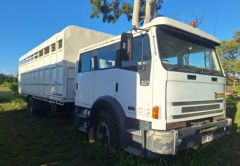 1995 Dual Cab Acco International 12 Horse Truck for sale Emerald Qld