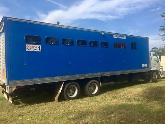 2003 Mitsubishi Fighter Living 6 Hosre Truck Horse Transport for sale Tarcutta NSW