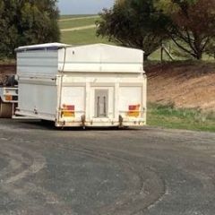 Tipper Body for sale Bordertown SA