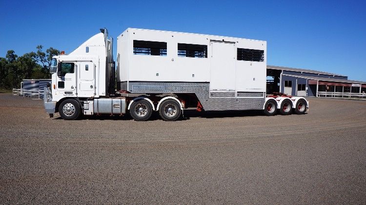 A Trailer 11 Horse Capacity