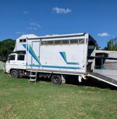 Isuzu 4 Horse truck with living Horse Transport for sale for sale Windsor Downs NSW
