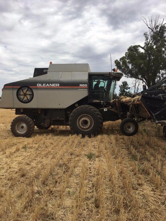 Gleaner R65 Header for sale NSW