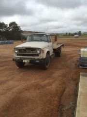 1975 International D1710 345 Truck for sale WA Kellerberrin