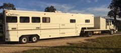 Macro 4 horse gooseneck Hino Truck Horse Transport for sale Wa Pinjarra