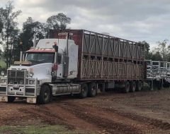 Truck for sale Mundubbera Qld Mack Truck &amp;  B/Double Stock Crates