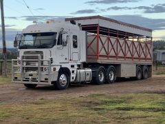 2009 Freightliner Argosy Prime Mover 14 Horse Crate for sale Willow Tree NSW