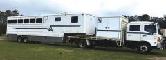 Hino FG Dual Cab 7-9 Horse Macro Gooseneck Horse Transport for sale WA Marybrook