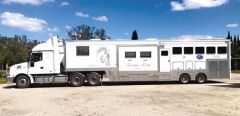 Luxury 7 Horse Gooseneck Horse Float Horse Transport for sale Wa Oldbury