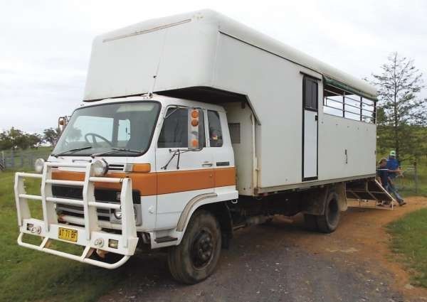 Horse Transport Sales and Auctions NSW