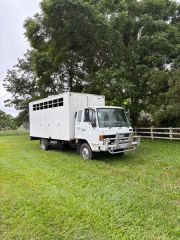 1987 Isuzu FSR400 5 Horse Truck for sale Kenilworth Qld