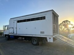 Horse Transport for sale Miners Rest Vic 1986 Mitsubishi 6 Horse Truck
