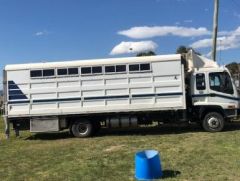2003 low Klms Isuzu 6 Horse truck horse transport for sale NSW Uralla