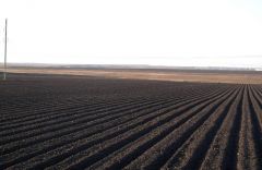 Black Soil Business for sale Ipswich Qld