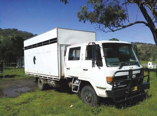 1986 Isuzu FSR500 5 Horse Truck Transport for sale NSW