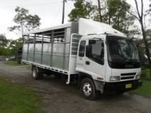 7/8 Horse/cattle crate Horse Transport for sale Quilaligo NSW