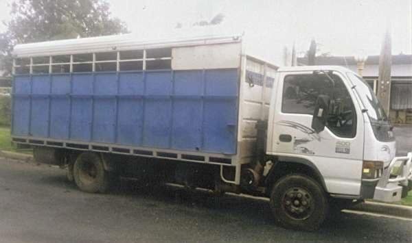 Isuzu 5 Horse Truck Transport for sale Vic