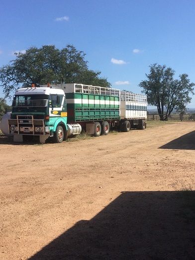 Dog trailer Mercedes Benz 4400 Truck for sale Taroom Qld