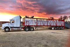 2007 Freightliner Columbia Truck Trailer &amp; S/crate for sale Wongwibinda NSW