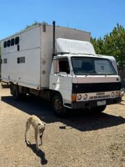 Horse Transport for sale Wodonga Vic Mazda T4100 ladies 2-3 Horse Truck