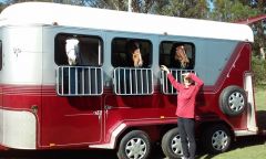 2015 Pegasus 3 HAL Horse Float Horse Transport for sale Maroota NSW