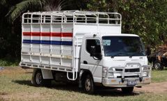 2013 MITSUSISHI  FUSO CANTER FE 615 CATTLE TRUCK FOR SALE AGNES WATERS QLD